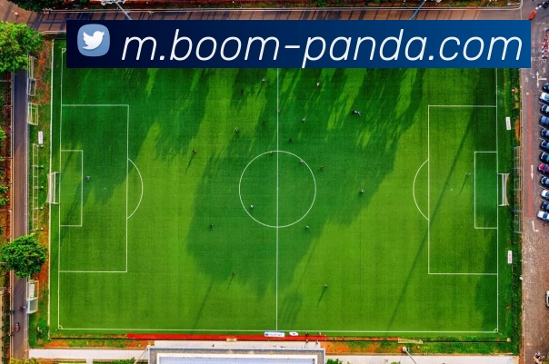 熊猫体育平台生态图