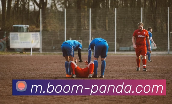 熊猫体育APP 封面图